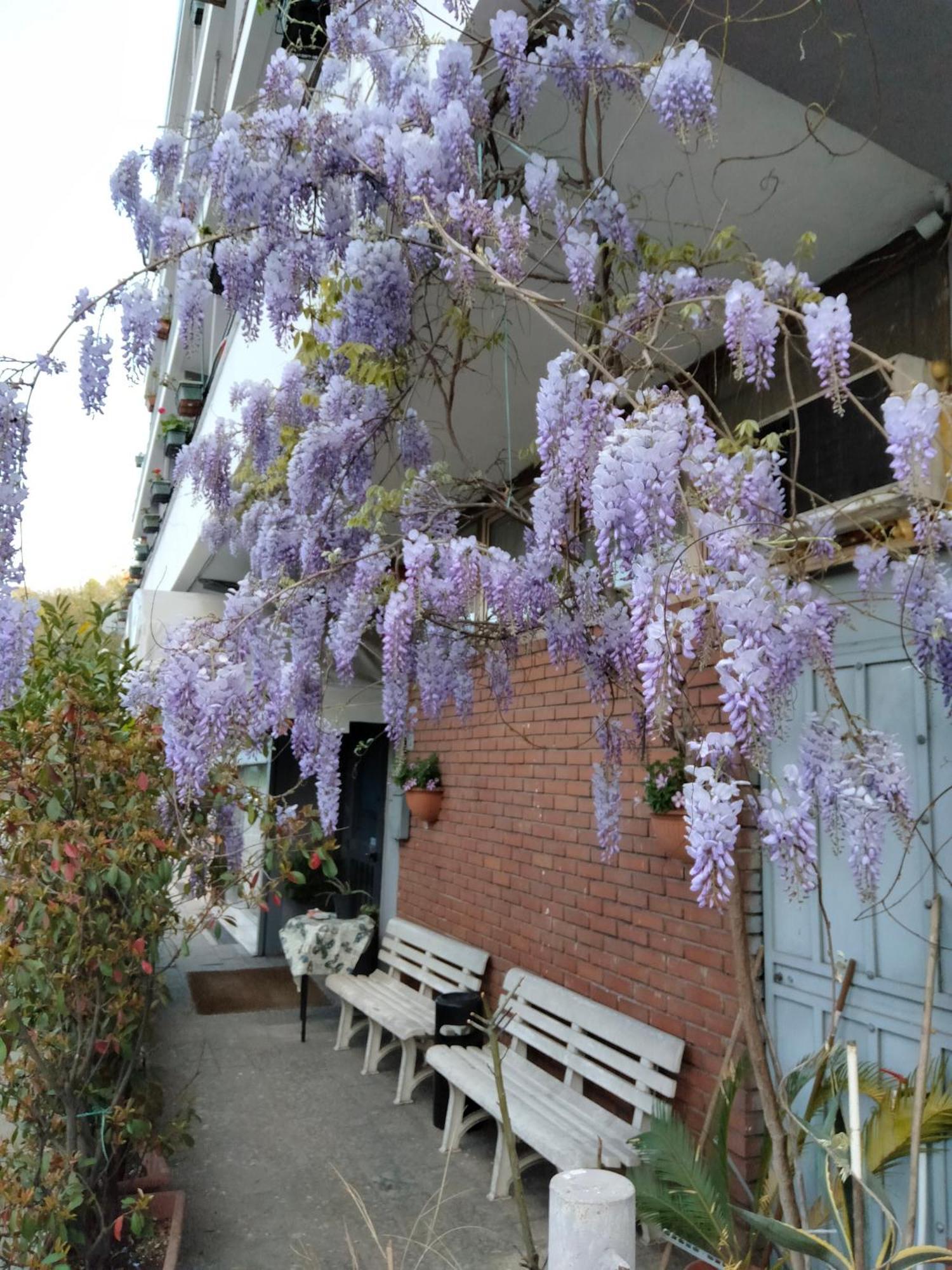Hotel Lombardia Seveso Zewnętrze zdjęcie