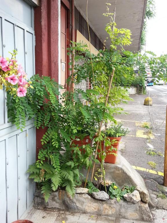Hotel Lombardia Seveso Pokój zdjęcie